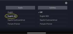 Disney+ Audio Described Titles