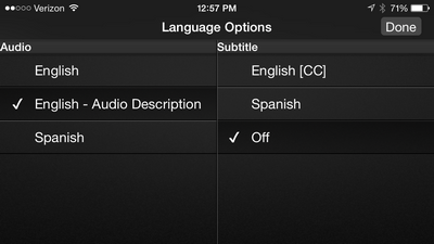 iPhone Audio Selection Menu